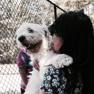 Meet your Posher, Winnie